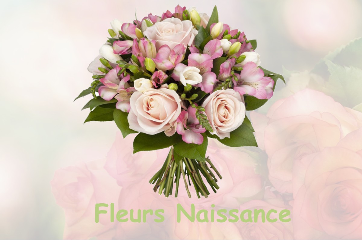 fleurs naissance LE-PLESSIS-MACE