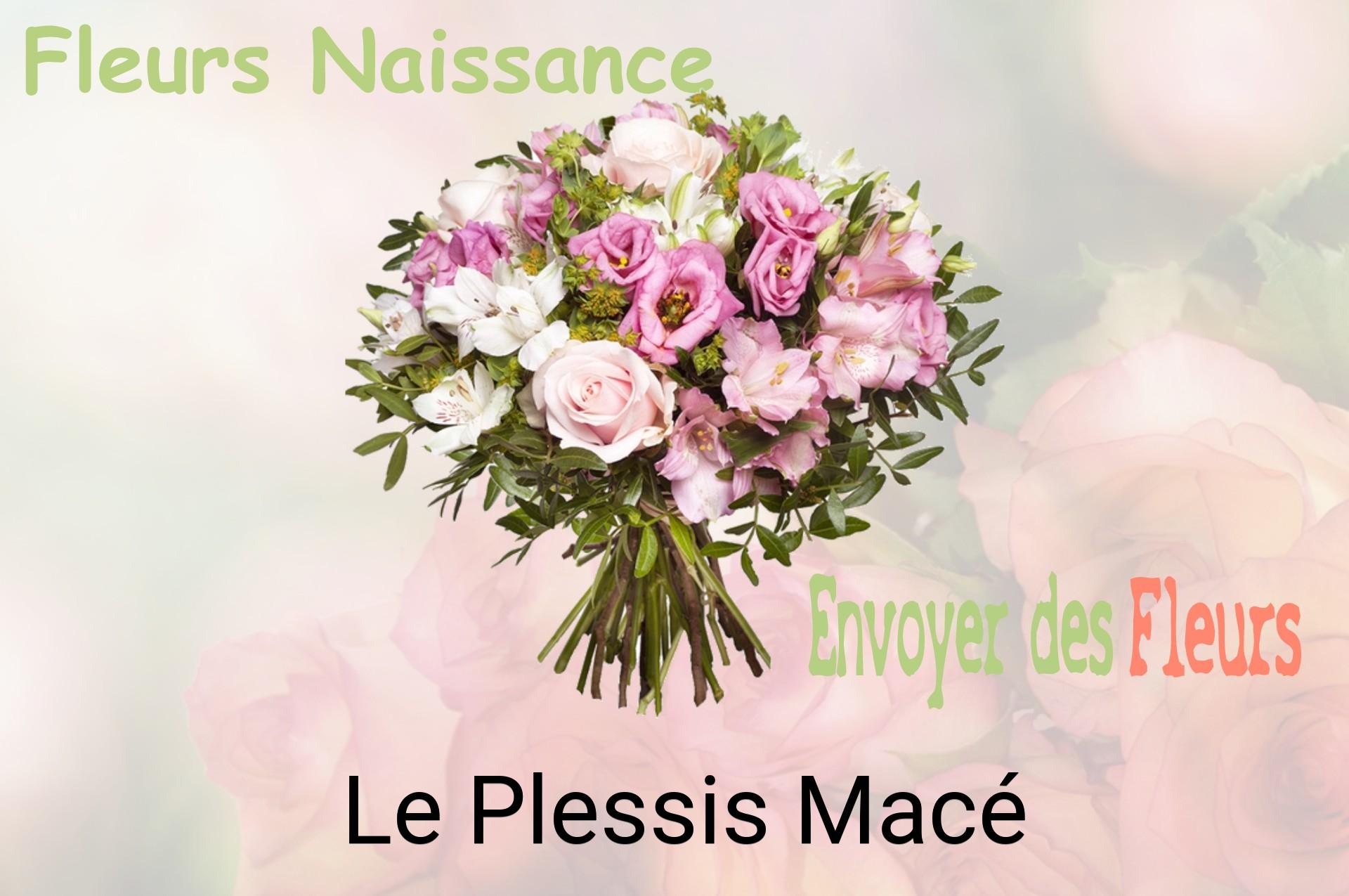 Bouquet de fleurs de naissance livré à Le Plessis-Macé