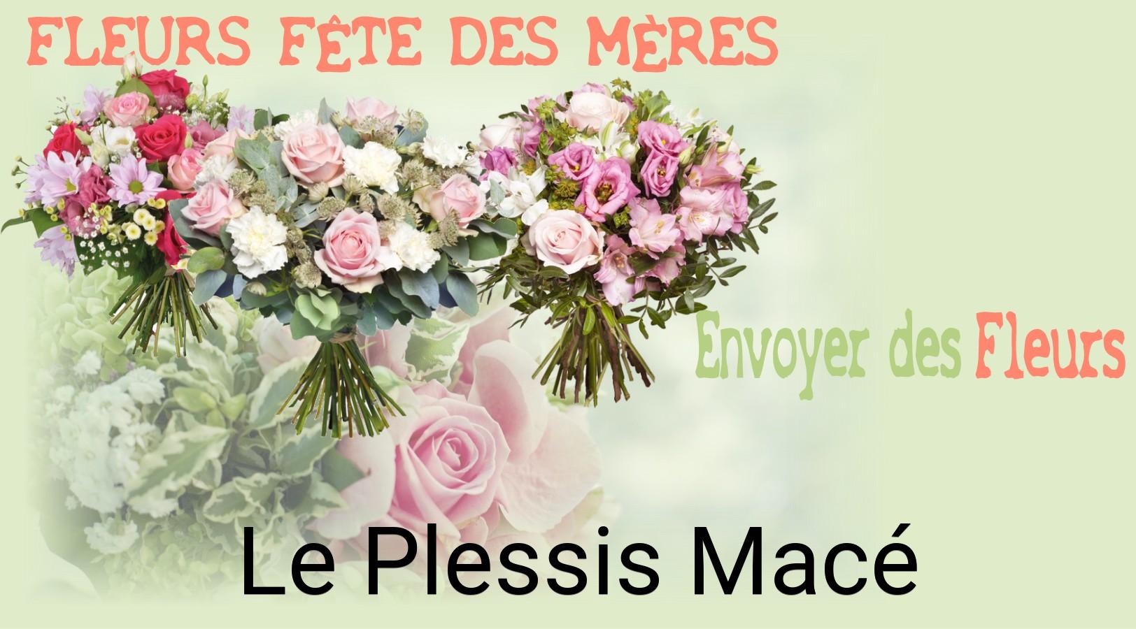 Bouquet de Fête des Mères livré à Le Plessis-Macé